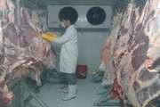 تکاب : نظارت بهداشتی بر استحصال بیش از 91 تن گوشت قرمز توسط شبکه دامپزشکی  شهرستان   طی 10 ماهه سال 